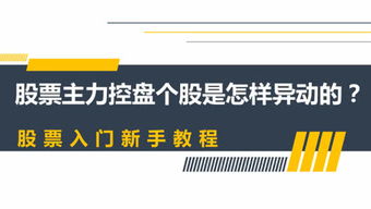 投資者教育咨詢 打造個人頻道，開啟智慧理財新篇章
