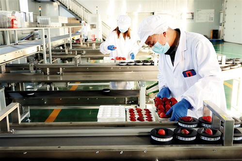 鄂爾多斯 建設農副產品電商服務中心，賦能養生保健服務新生態